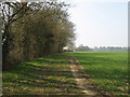 Fields near Shootersway, Berkhamsted