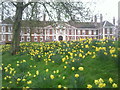 Morden College in springtime