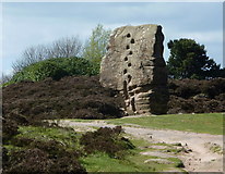 SK2462 : The Cork Stone, Stanton Moor by Andrew Hill