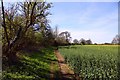 Footpath to Didcot by a field