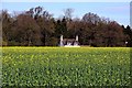 Looking over the rape to Folly Farm