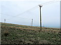 Variety of Poles near Crake Moor