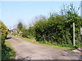 Footpath to Bruisyard Road