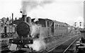 A Holiday express from Derby proceeds from Yarmouth (Beach) station on its last leg to Lowestoft