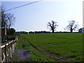 Footpath to Church Road