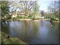 Pond in the grounds of Roehampton University