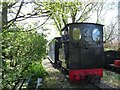 Train at Willowtree Halt