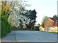 Car park, Hartley Country Club