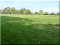 Field south of Tittlesfold Farm