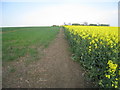 The footpath from Cadney