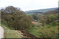 The valley of Brandstone Beck