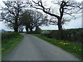 Lane north of Willington Cross