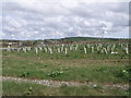 Roundabout just off A30, south west of Bodmin