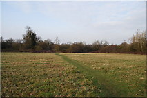 TQ2294 : Footpath across Totteridge Fields by N Chadwick