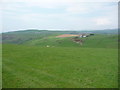 Sheep pasture on Banc Clawddmelyn