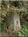 Ballycowan Triangulation Pillar