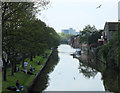 2011 : Feeder Canal looking west