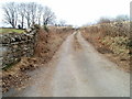 Track to Maesmafon Farm near Nelson