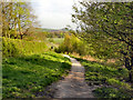 Ousel Nest Meadows