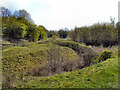 Rixton Claypits Nature Reserve