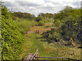 Rixton Claypits Local Nature Reserve