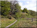 Rixton Claypits Nature Reserve