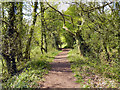 Rixton Claypits nature Reserve