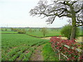 SO7323 : Farmland south of Kent's Green by Jonathan Billinger