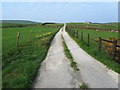 Access Lane to Intake Farm