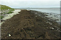 Looking East South East across the Bay of Lopness, Sanday