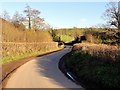 On The Road Near Bearscombe