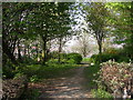 Footpath - Bolton Road