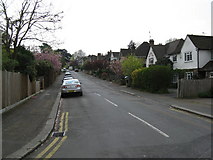 TQ2649 : Reigate:  Crakell Road by Dr Neil Clifton