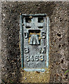 Flush Bracket, Ballycultra Triangulation Pillar