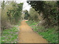 A new stretch of the Chiltern Way