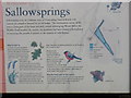 Sallowsprings descriptive notice