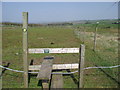 Footpath and stile