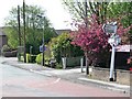 Ornamented signpost, Mere Green