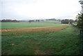 Farmland, Holdhurst Farm