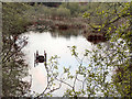 Rixton Claypits Nature Reserve