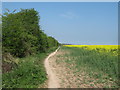 Footpath to Little Mongeham