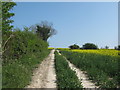 Footpath to Deal Road