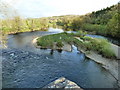 River Towy/Afon Tywi at Llandilo-yr-ynys, Nantgaredig