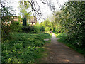 Footpath on the old railway