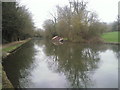 Derelict boat on Grand Union Canal