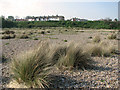 Cottages above the beach in Pakefield