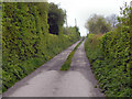 New Hall Lane, Culcheth