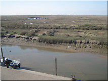 TG0244 : Salt marshes, Blakeney, in March: 1 by Robin Stott