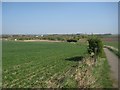 Countryside footpath (2)