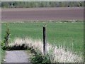 Countryside footpath (3)